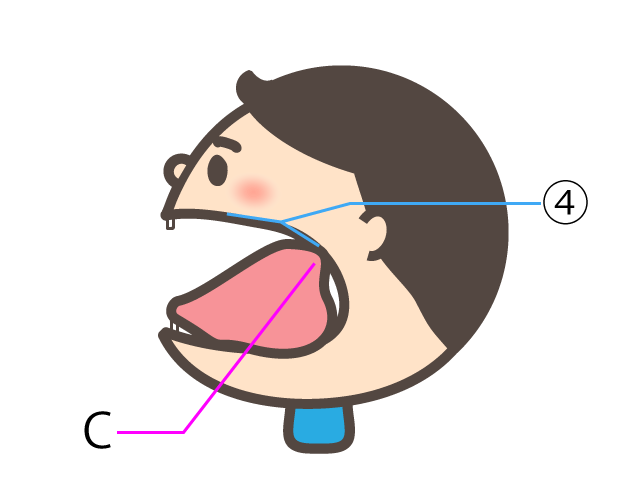 グループ１の発音。